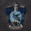 Svetr Harry Potter - Znak Havraspáru - Image 2