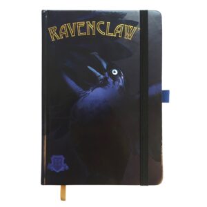 Zápisník Harry Potter - Havraspárský havran